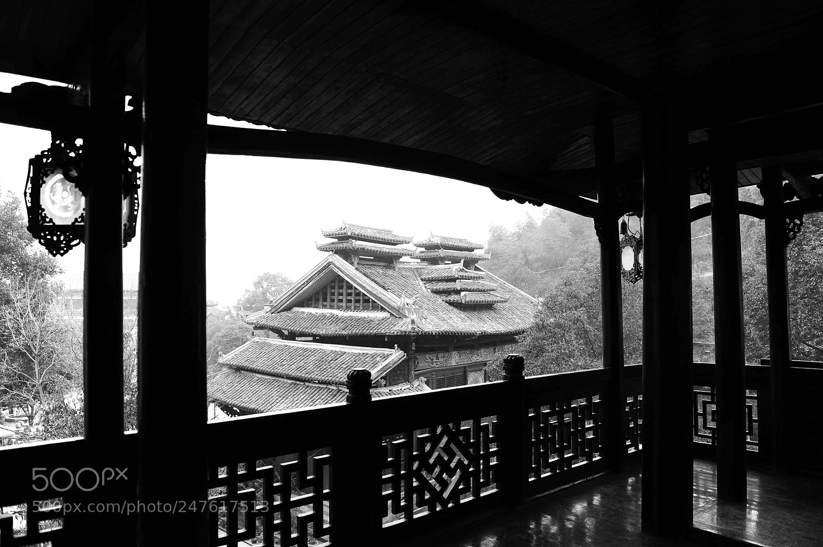 Nikon D700 sample photo. Untitled photography