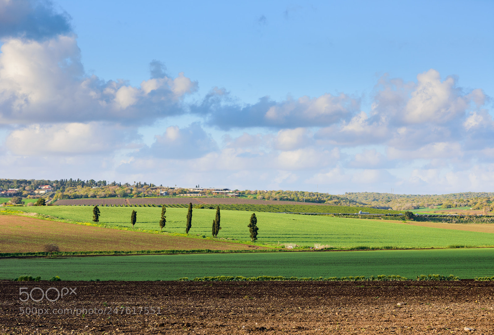 Nikon D7200 sample photo. Lines and sky photography