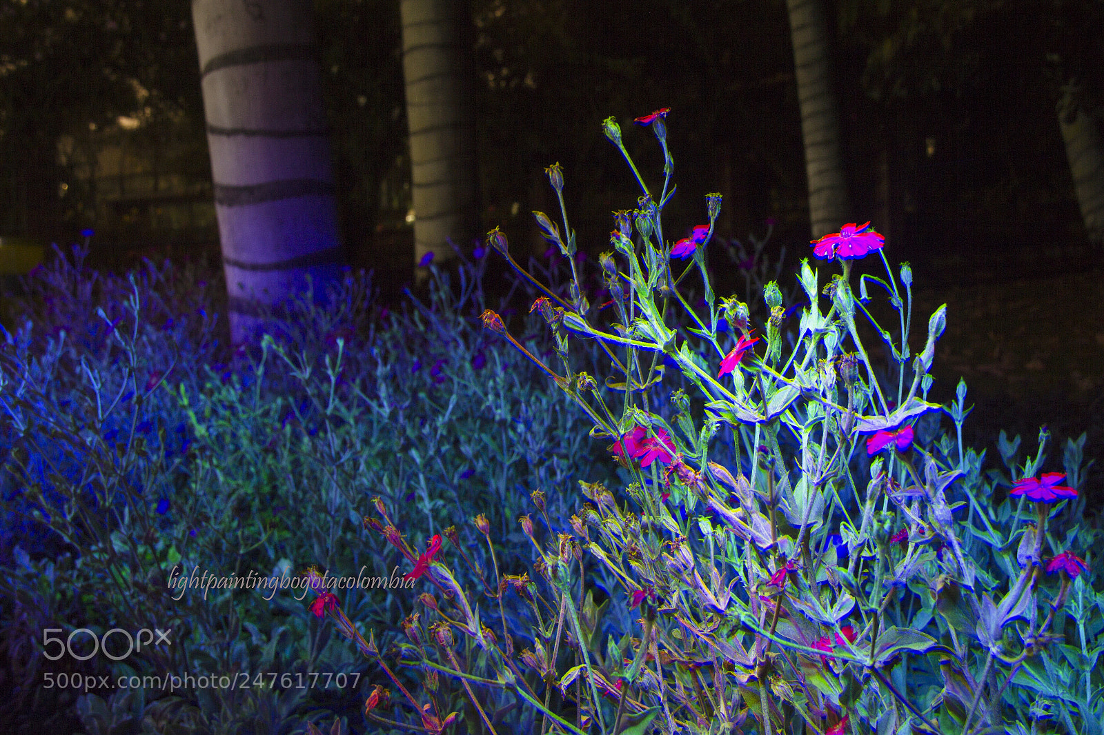 Canon EOS 60D sample photo. Light painting photography