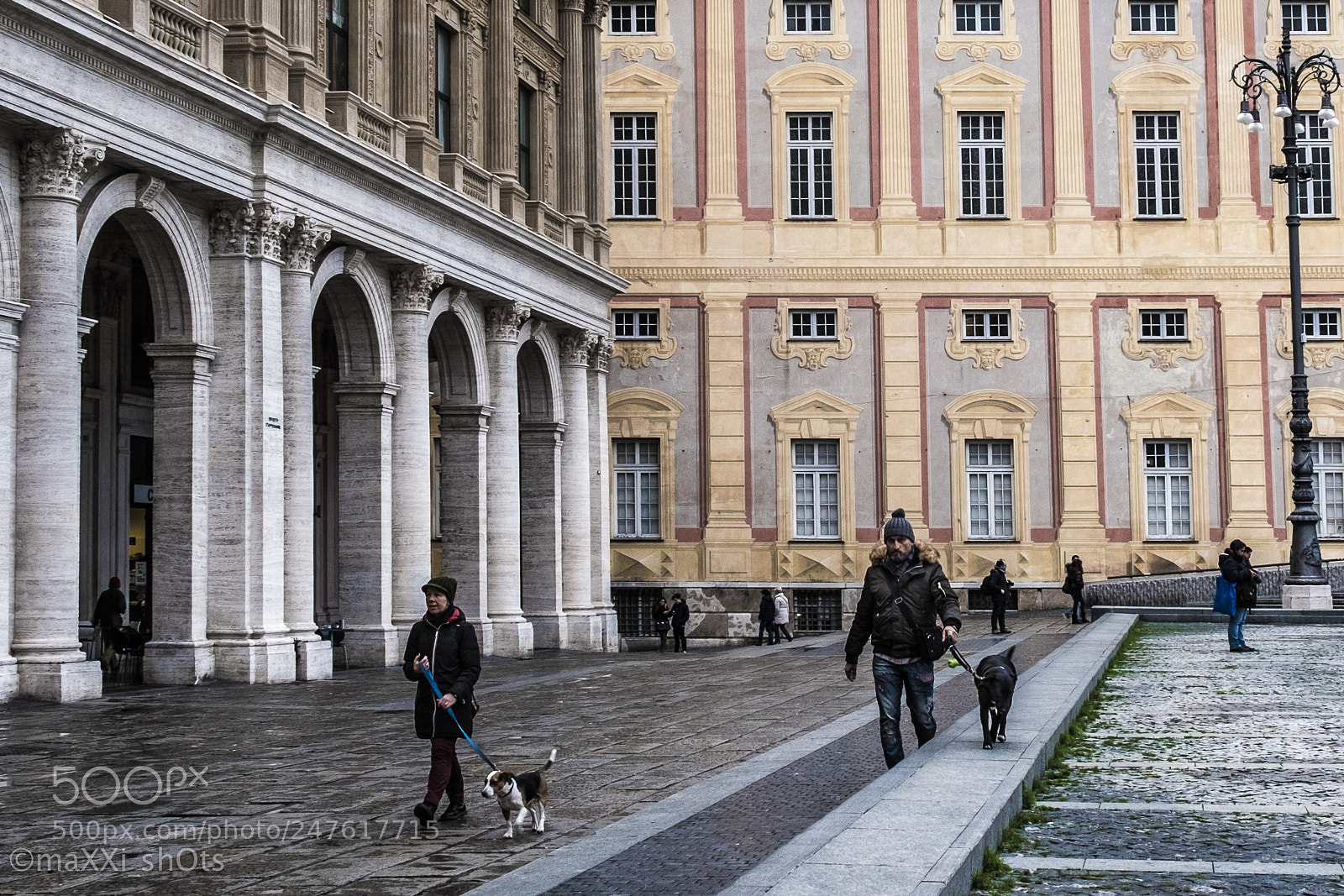 Fujifilm X-T20 sample photo. Walking dog at genova photography