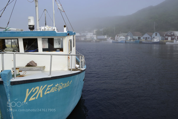 Nikon D3100 sample photo. Fog is lifting photography