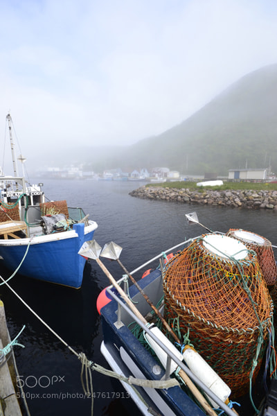 Nikon D3100 sample photo. Fog lifting photography