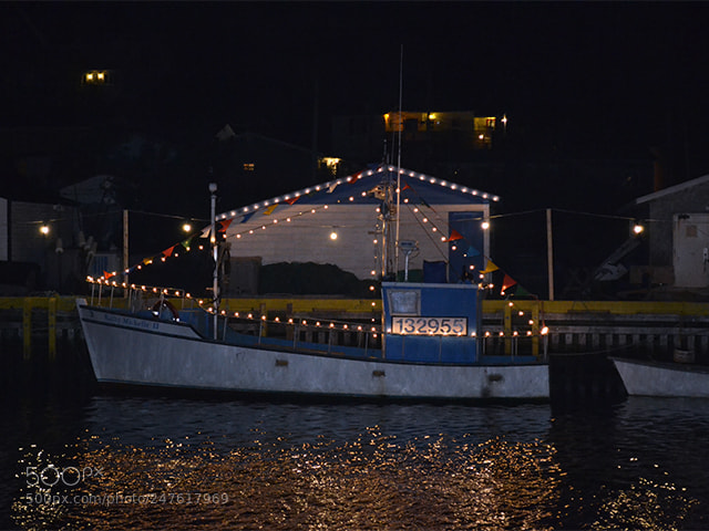 Nikon D3100 sample photo. Boat at night photography