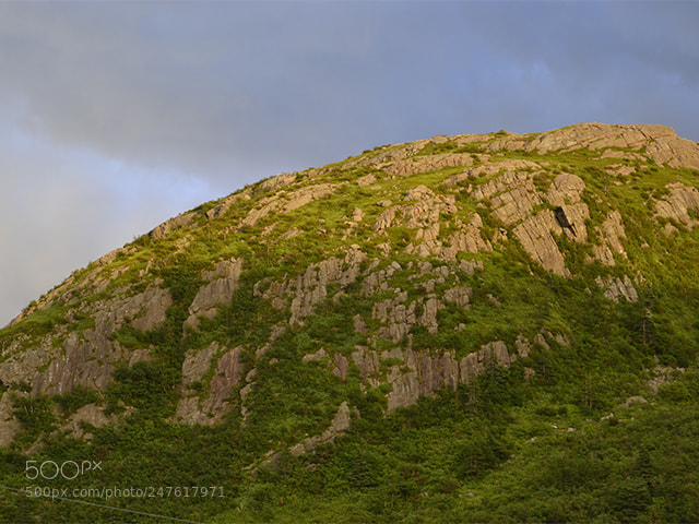 Nikon D3100 sample photo. Boone's head at sunset photography