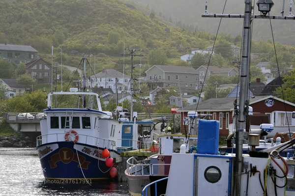 Nikon D3100 sample photo. Looking up the harbour photography