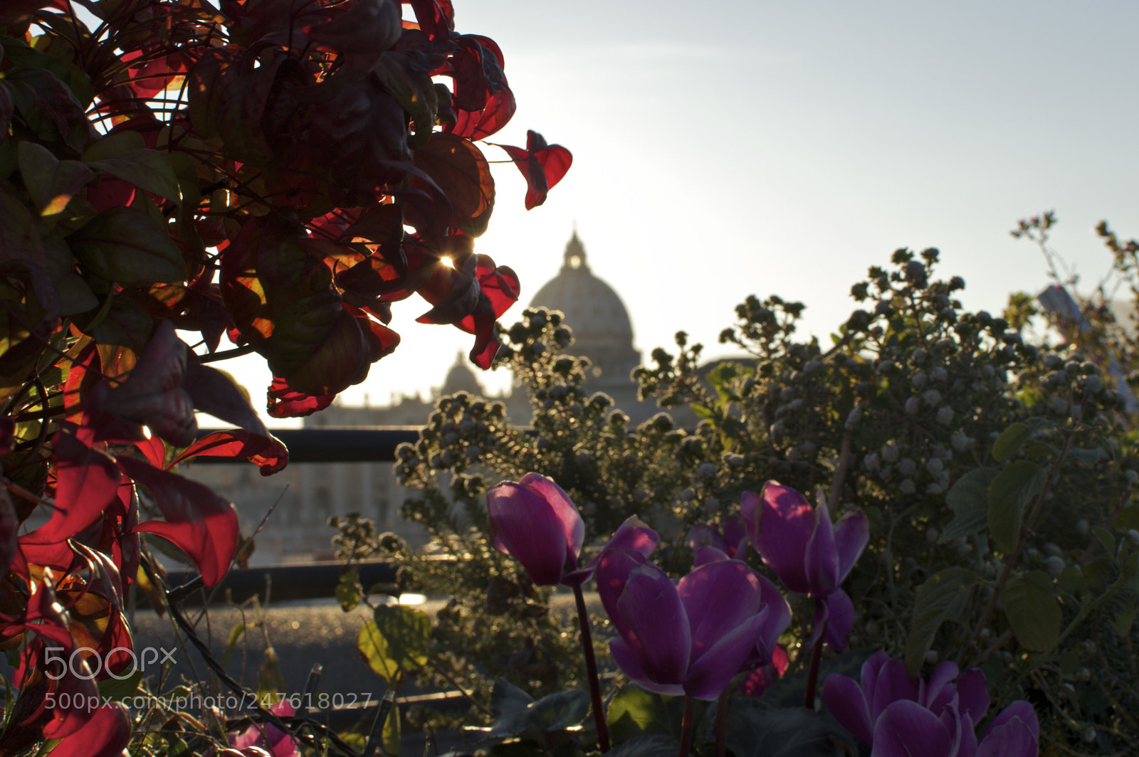 Nikon D3200 sample photo. Sunset on the vatican photography