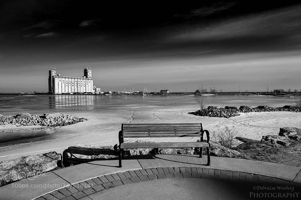 Nikon D700 sample photo. Empty bench photography