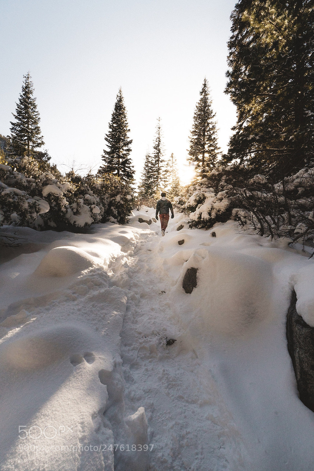 Sony a6300 sample photo. Exploring in the snow photography