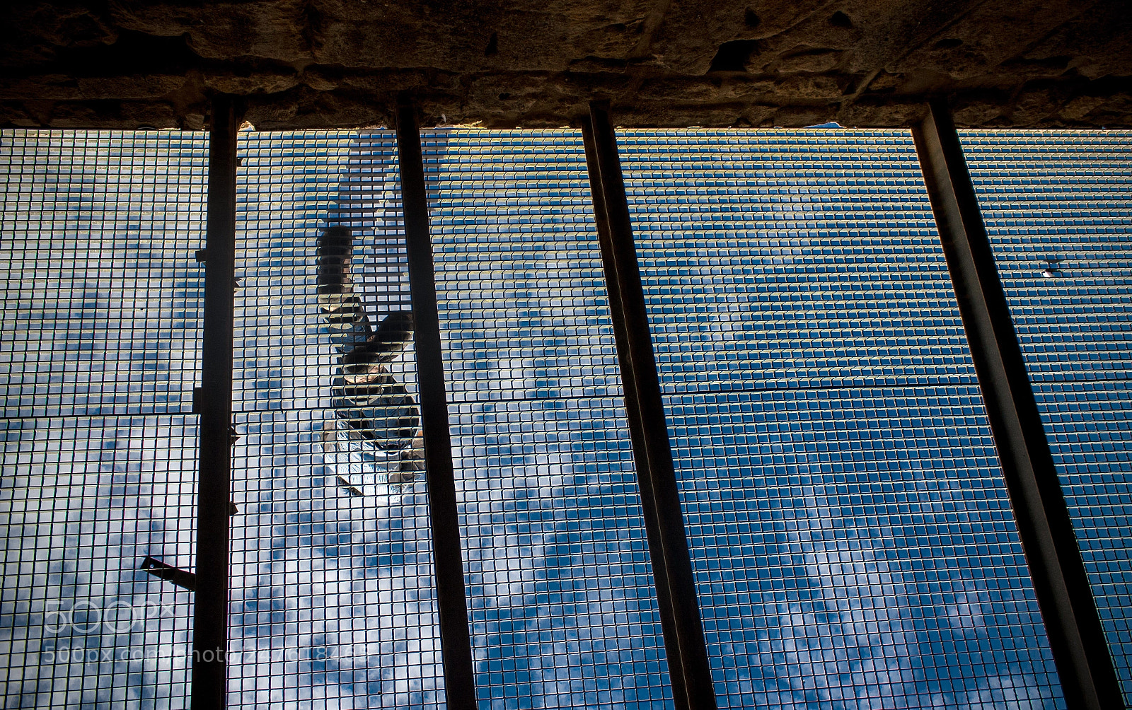 Canon EOS 700D (EOS Rebel T5i / EOS Kiss X7i) sample photo. Upside down photography