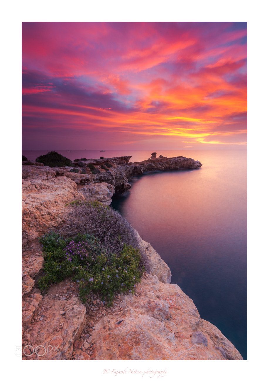 Nikon D800 sample photo. Colors des llevant photography