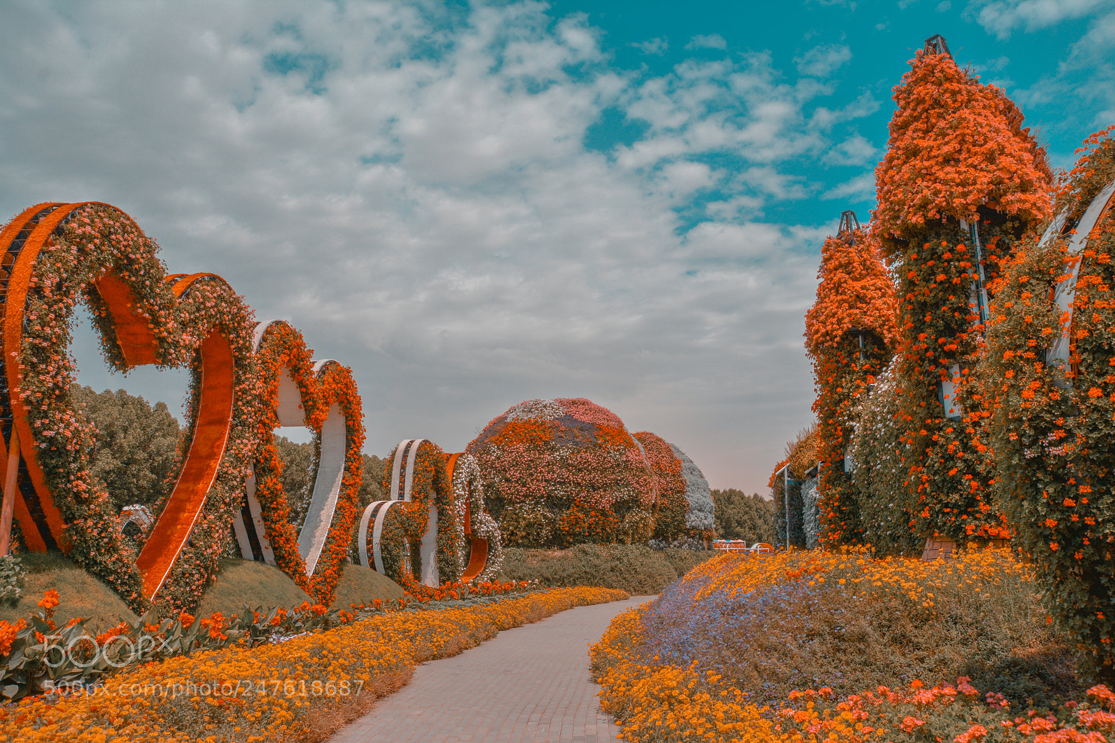Nikon D7100 sample photo. Dubai gardens photography