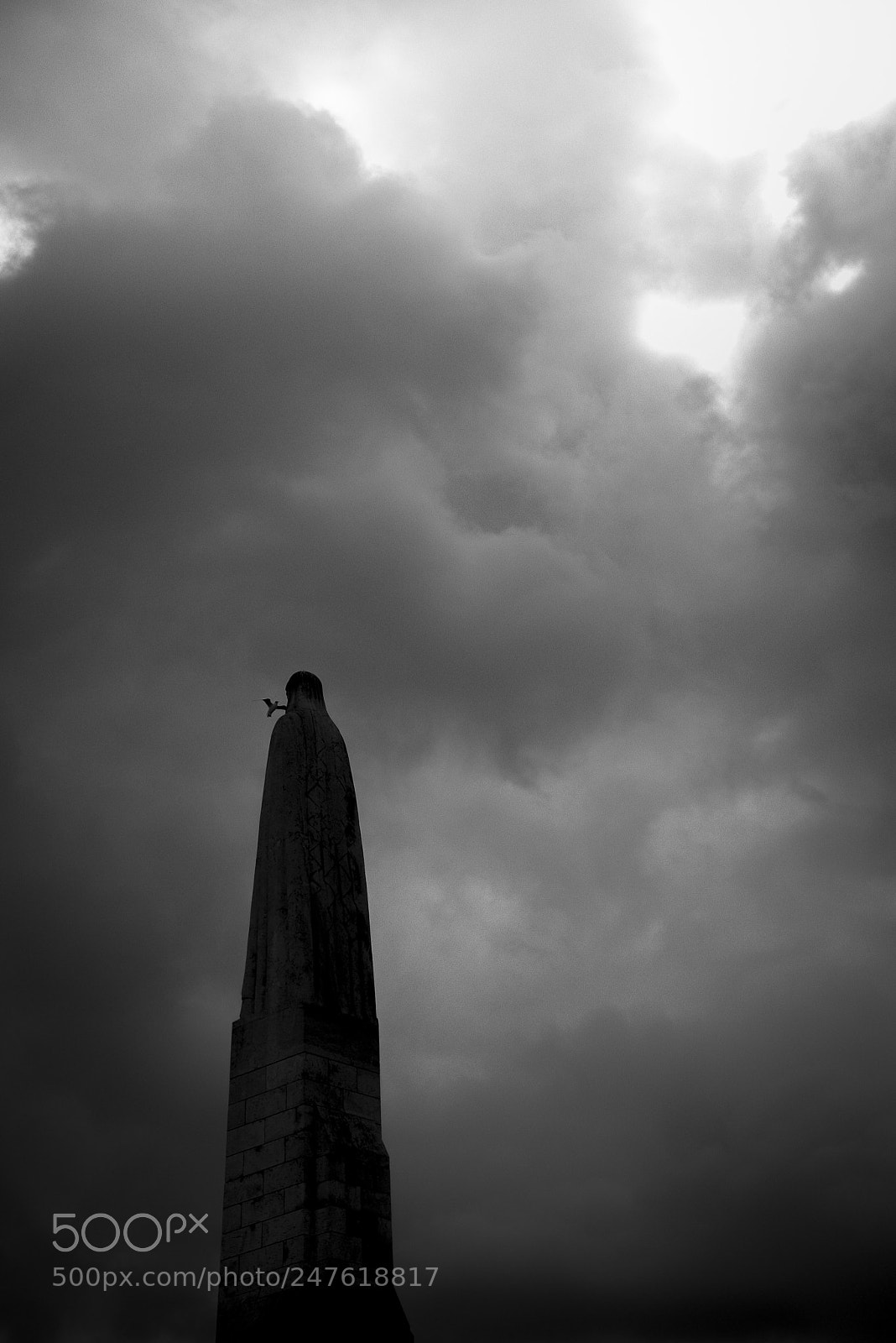 Nikon D810 sample photo. Valhalla photography