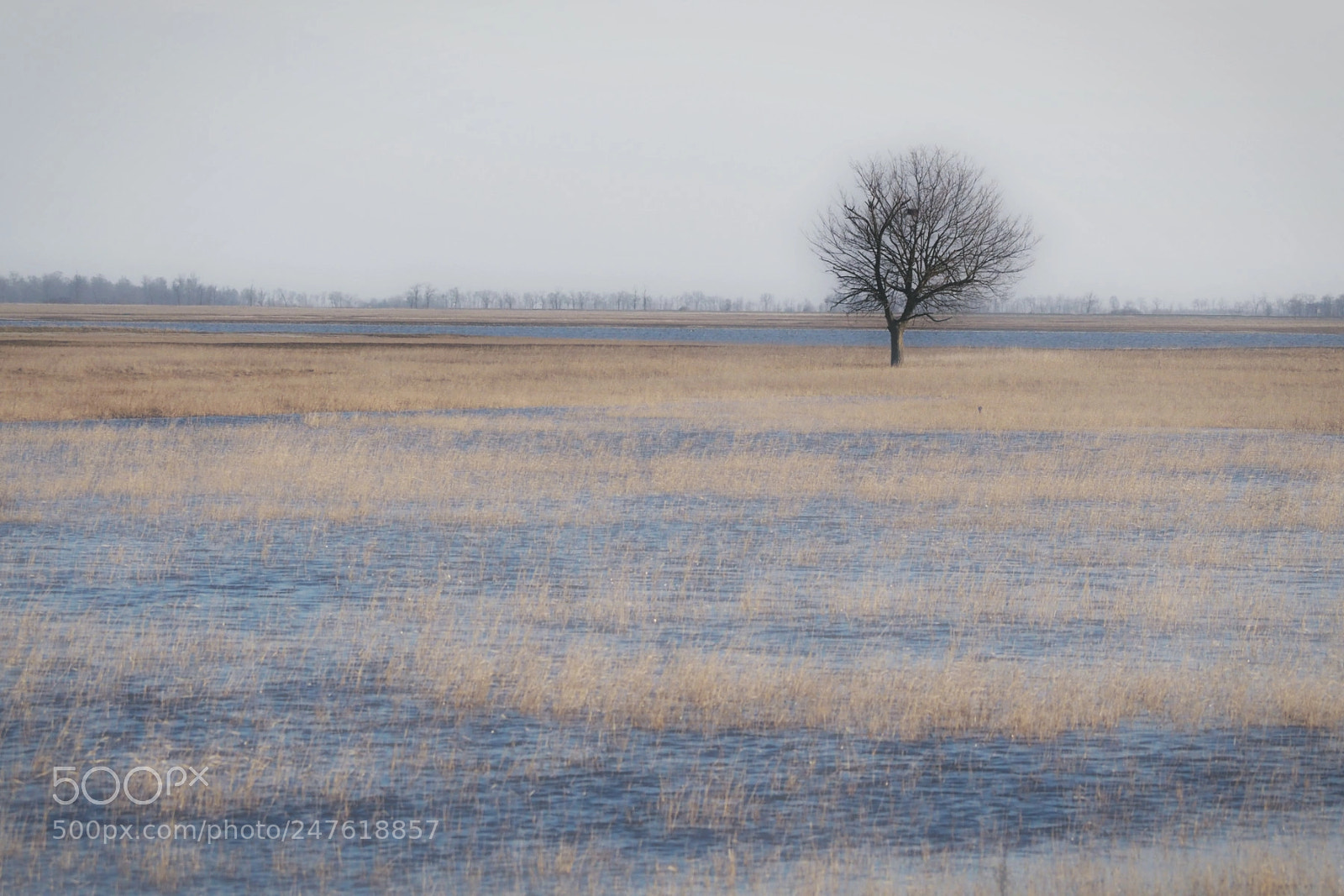 Olympus OM-D E-M10 II sample photo. Singularity photography