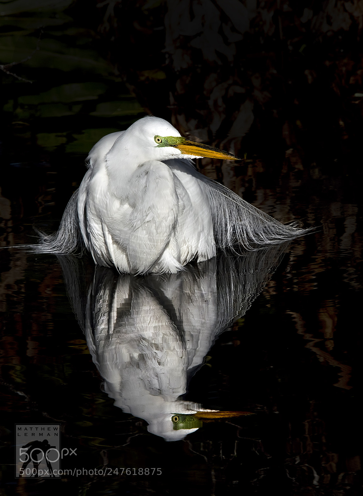 Nikon D810 sample photo. Wet photography