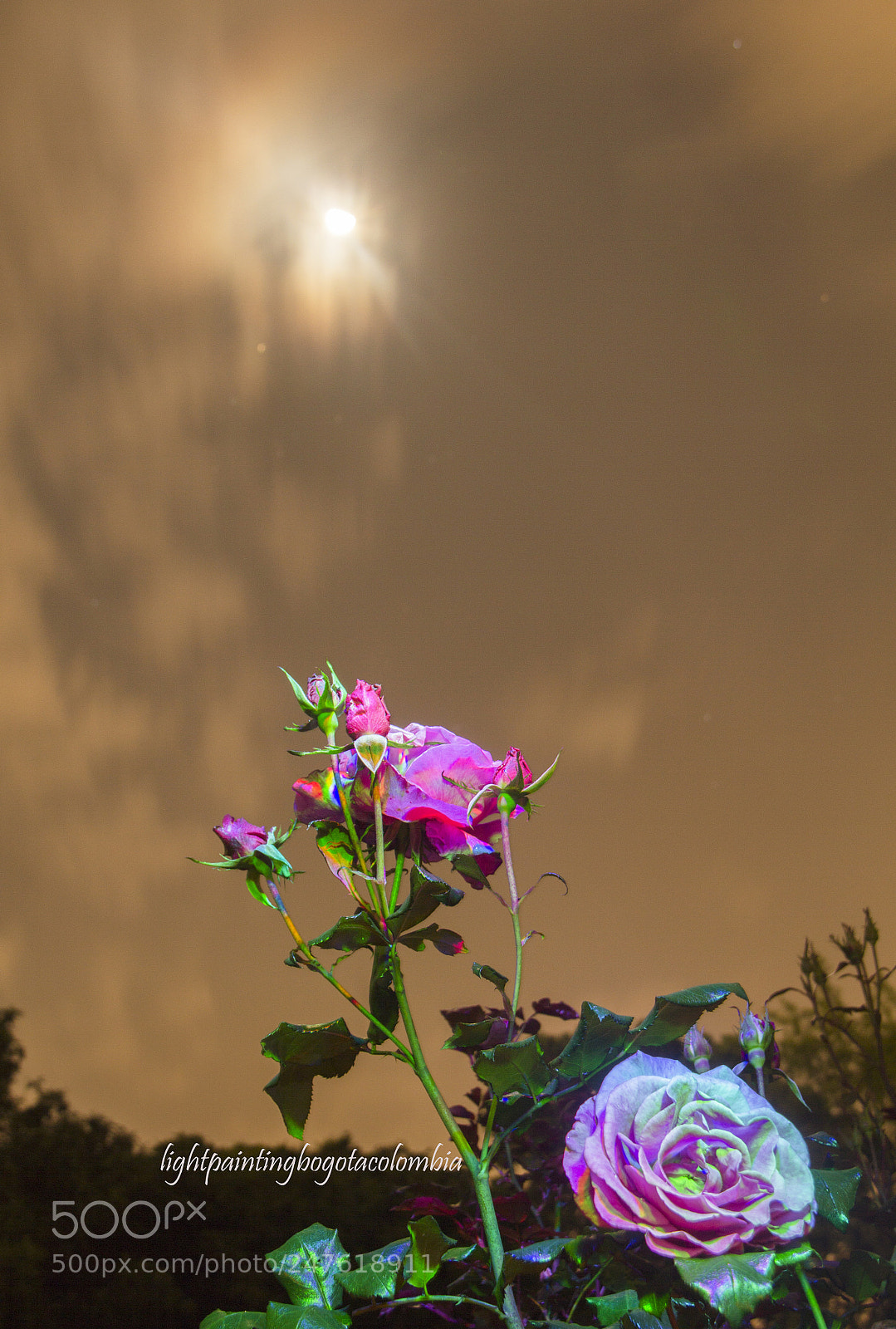 Canon EOS 60D sample photo. Light painting photography