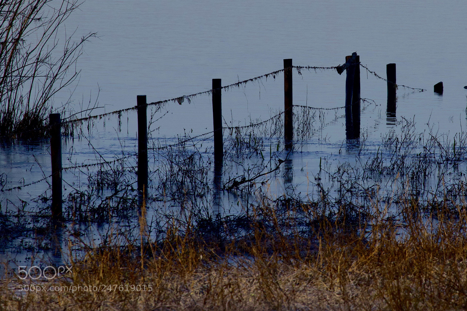 Canon EOS 7D Mark II sample photo. Flooded meadow (ijssel, zwolle) photography