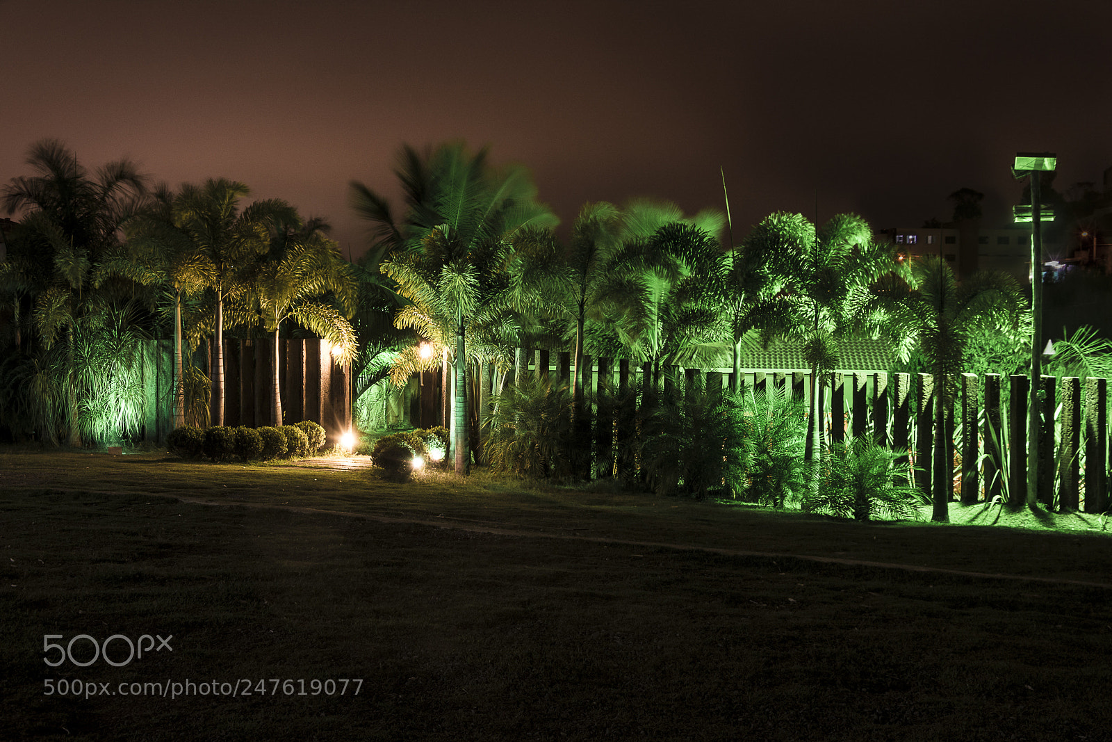 Nikon D7100 sample photo. Garden eventos photography