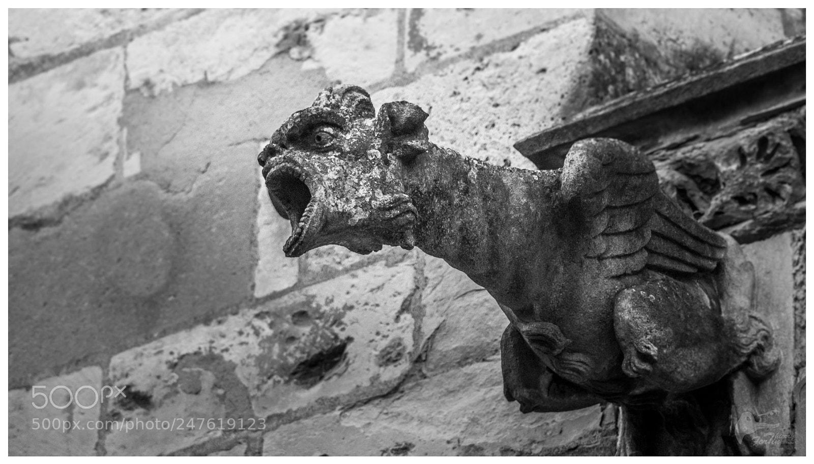 Canon EOS 700D (EOS Rebel T5i / EOS Kiss X7i) sample photo. Bourges gargouille photography