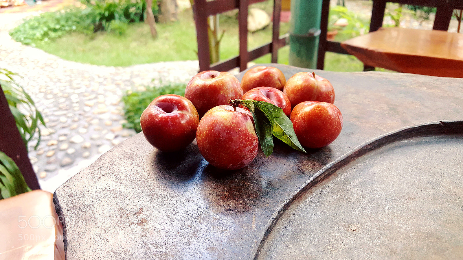 Samsung Galaxy S6 sample photo. Untitled photography