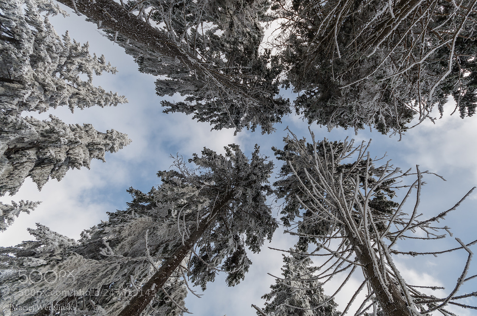 Pentax K-50 sample photo. Winter moods photography