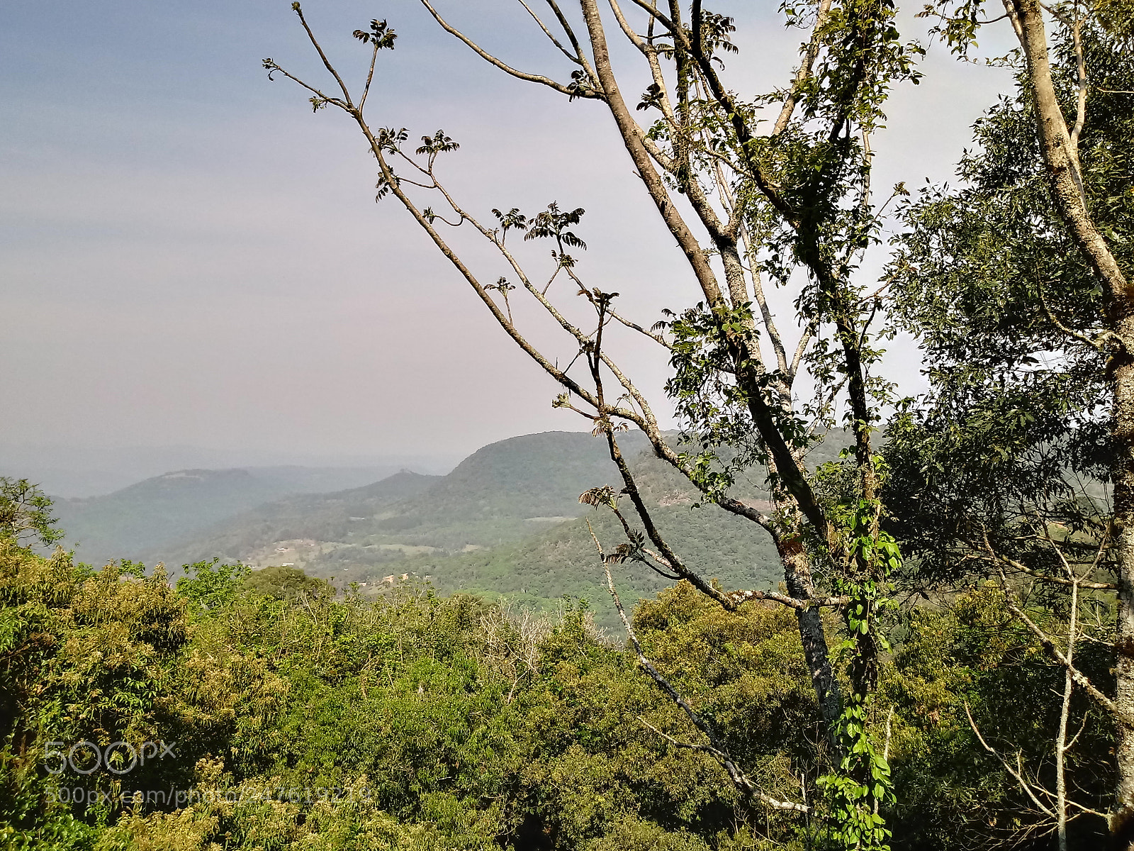 LG K10 (2017) sample photo. Greeny place in canela photography
