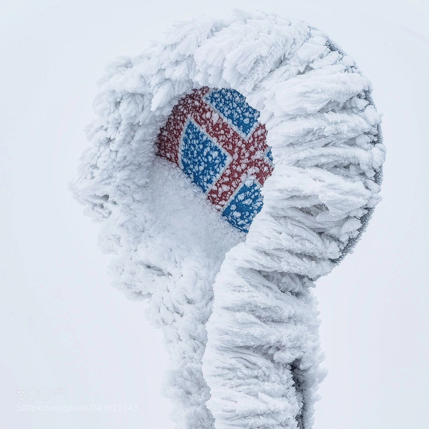Sony a9 sample photo. Cold days in switzerland photography