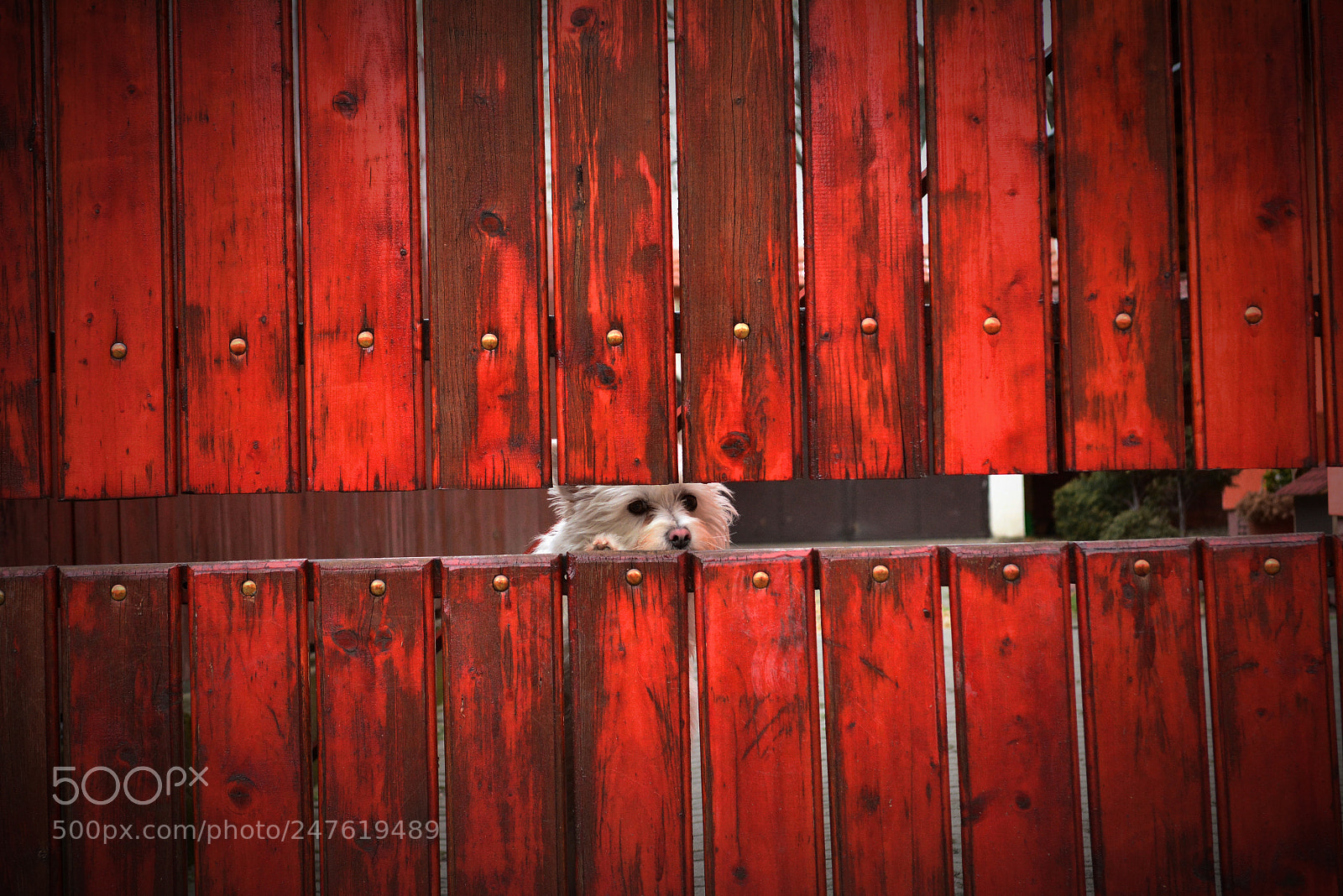 Nikon D5200 sample photo. Budapest_02 photography