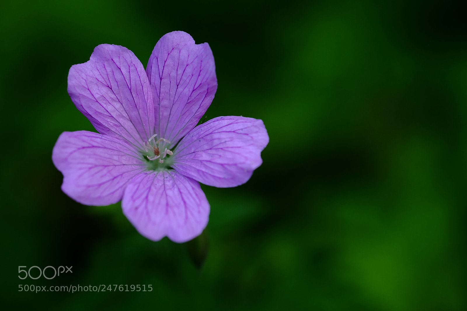 Fujifilm X-T10 sample photo. 507 photography