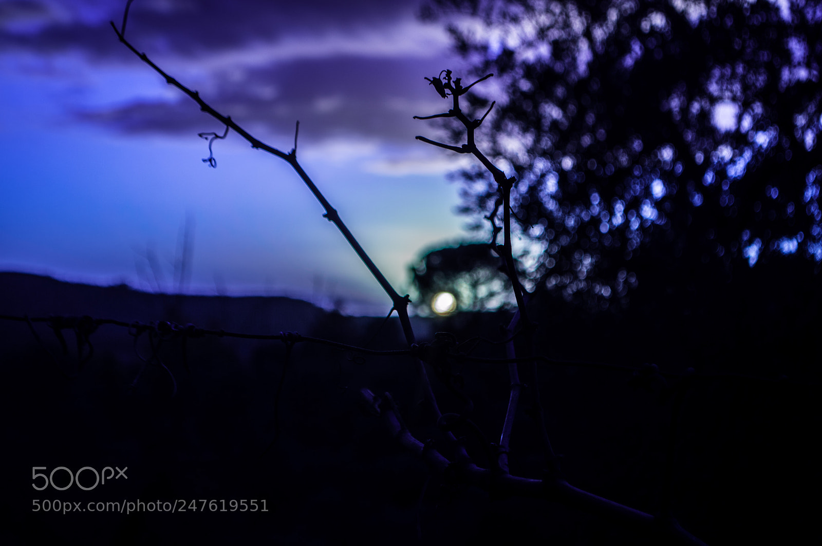 Nikon D3200 sample photo. Blue sunset photography