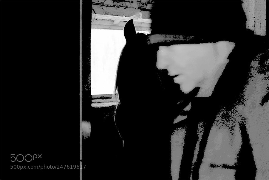 Nikon D610 sample photo. Silhouettes photography