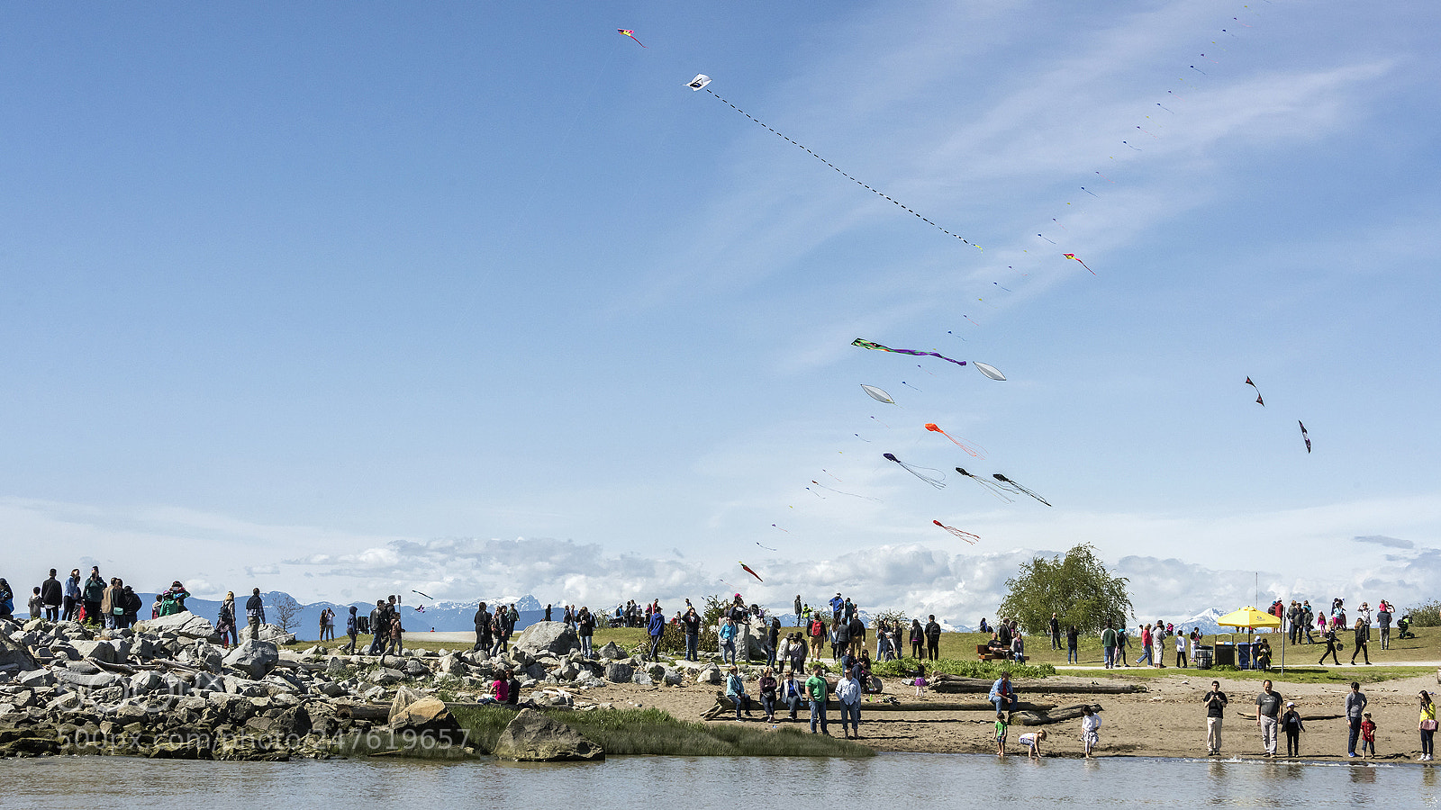 Nikon D810 sample photo. Good day for kite photography