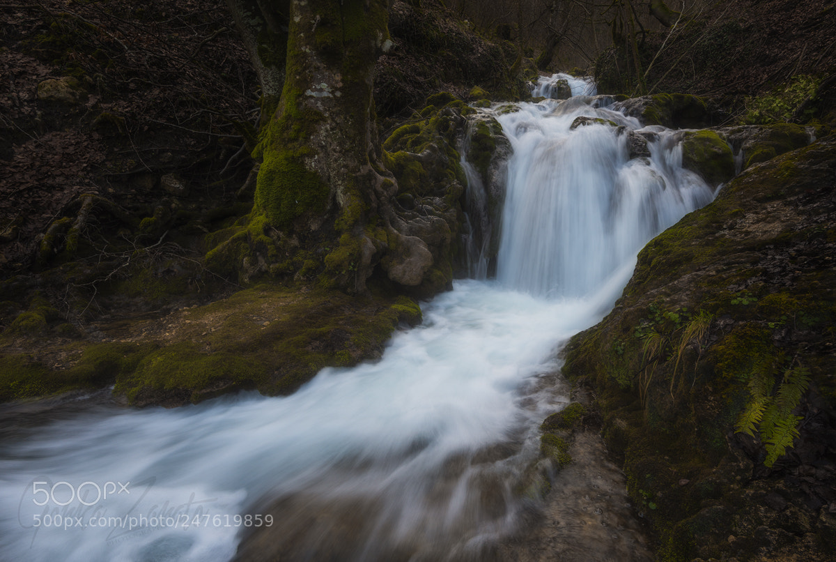 Nikon D810 sample photo. Cascadas de andoin en photography