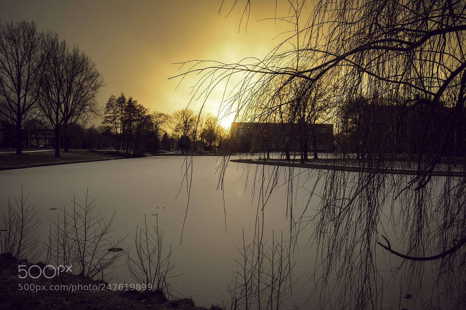 Sony a7 II sample photo. Sunset this late afternoon photography