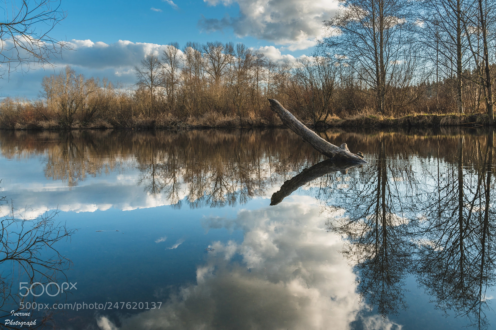 Sony a7R II sample photo. River photography