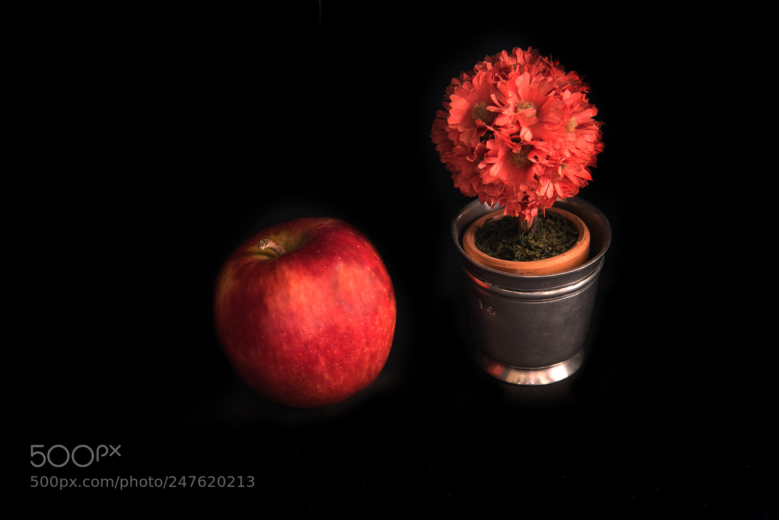 Nikon D810 sample photo. Dark photography photography
