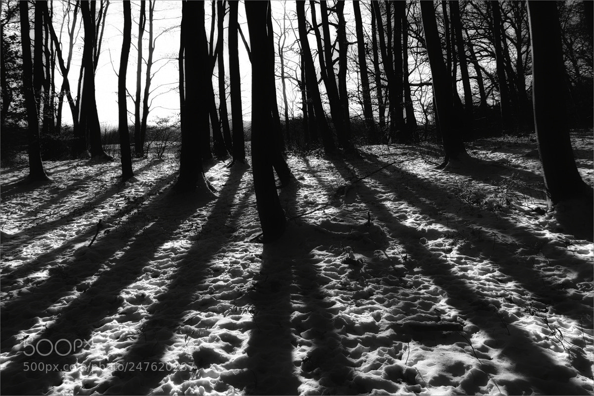 Fujifilm X-T2 sample photo. Zentralprojektion photography