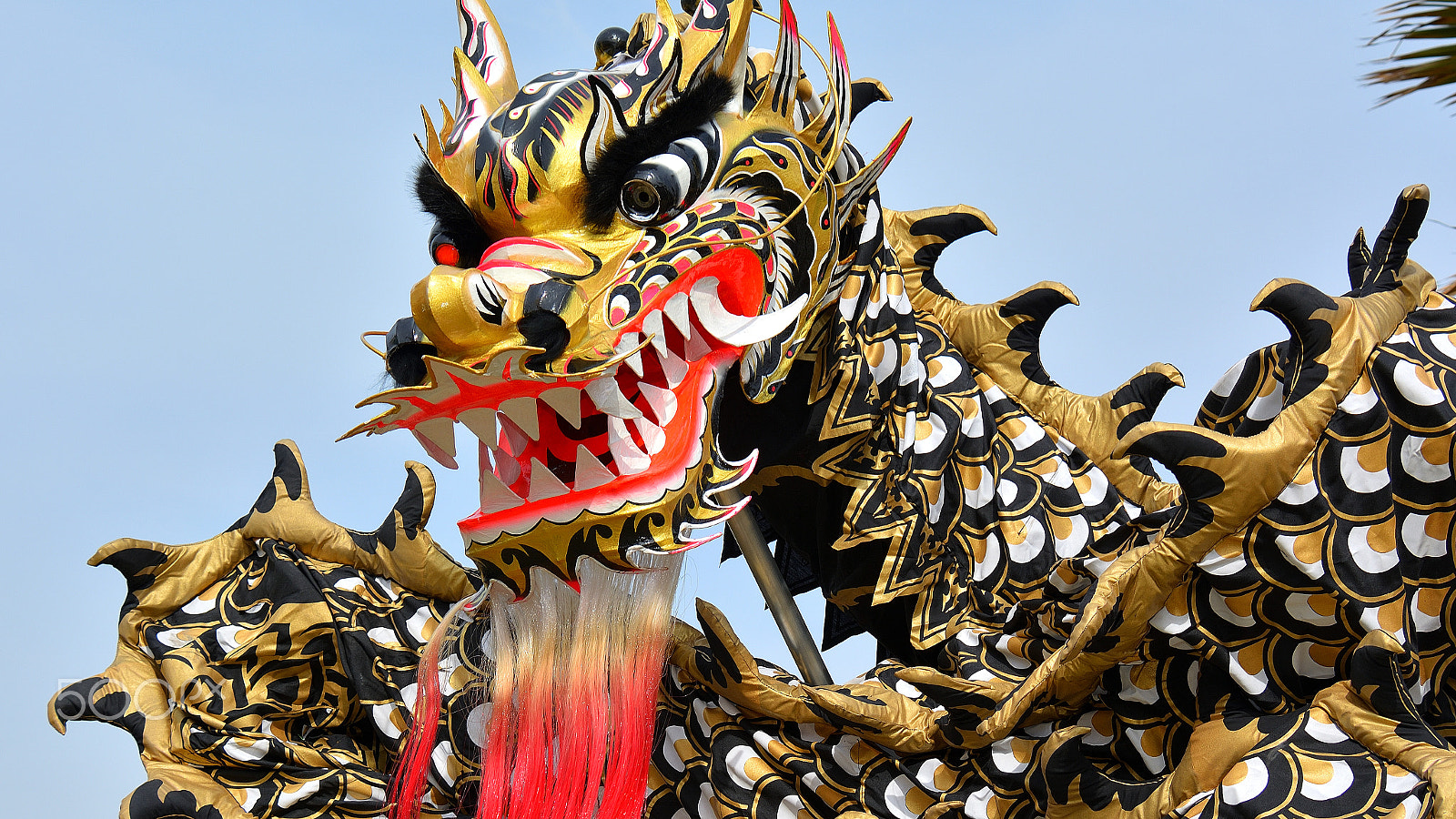 Nikon D5200 sample photo. Dragon look photography