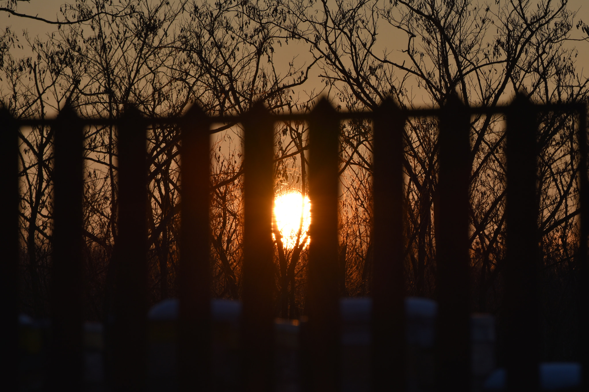 Nikon D3400 sample photo