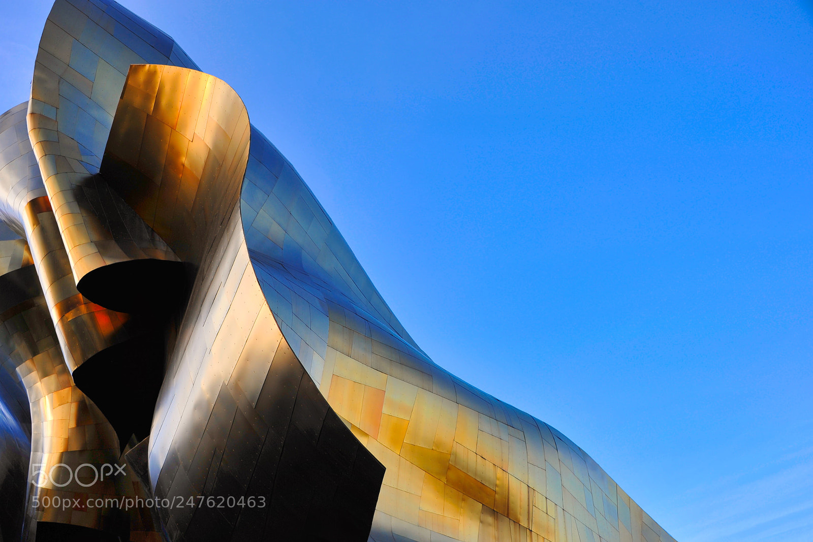 Nikon D700 sample photo. Seattle emp photography