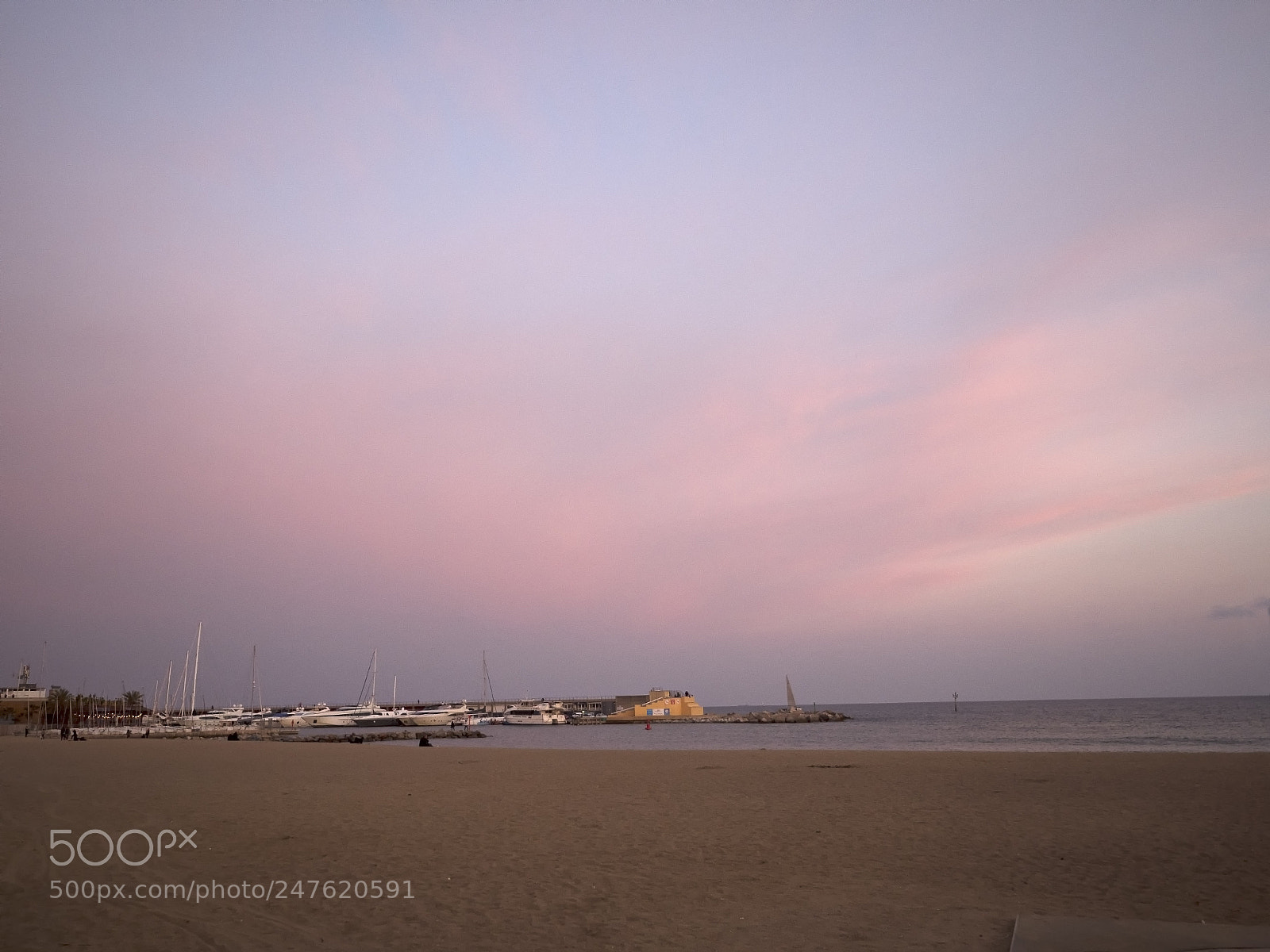 Olympus OM-D E-M1 Mark II sample photo. ... photography