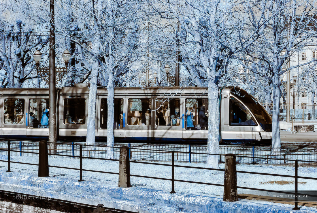 Sony Alpha DSLR-A230 sample photo. Tram photography