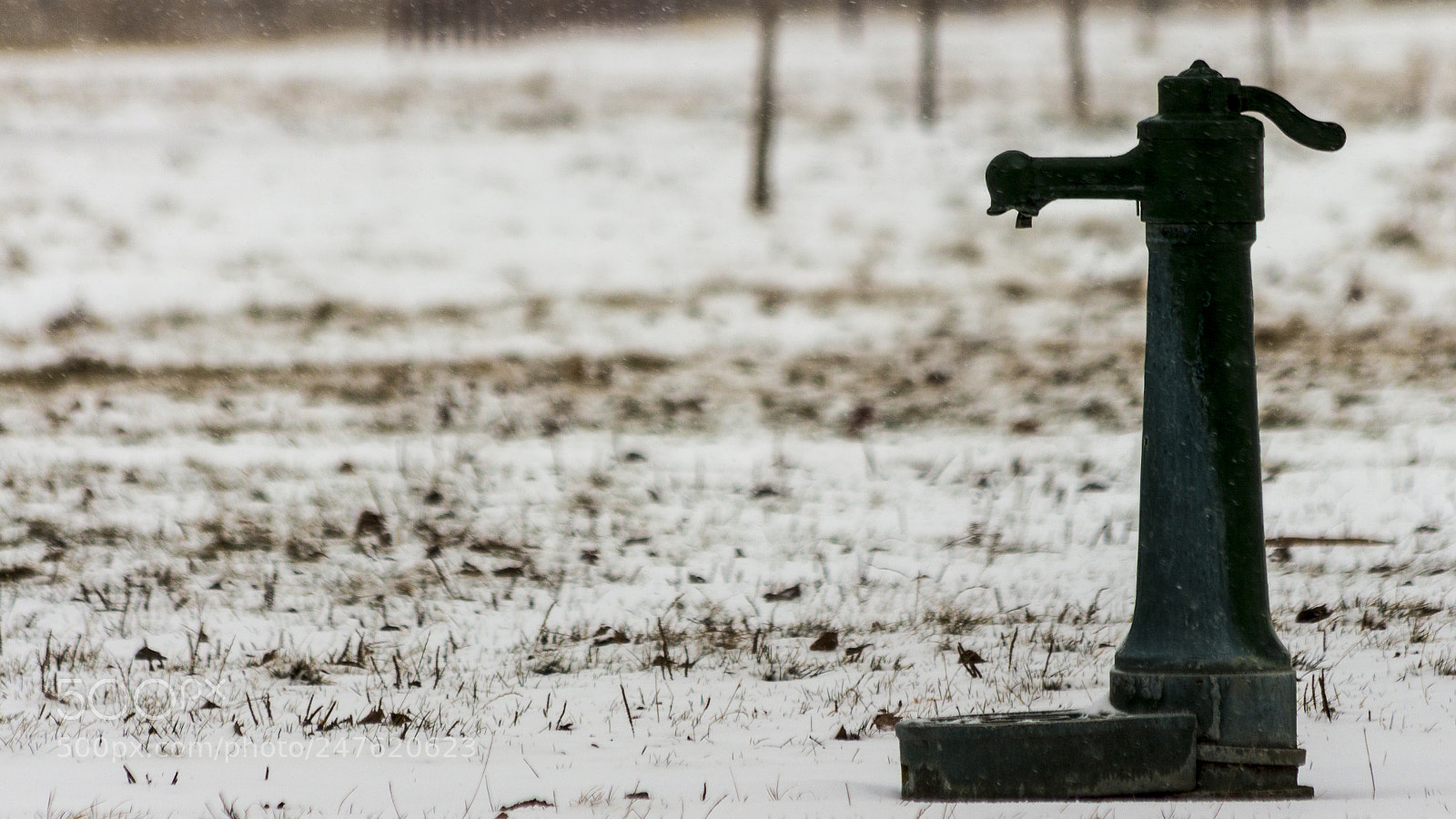 Canon EOS 700D (EOS Rebel T5i / EOS Kiss X7i) sample photo. A winter afternoon photography