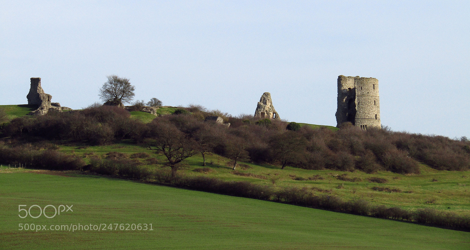 Canon PowerShot SX410 IS sample photo. Landscape near hadleigh castle photography