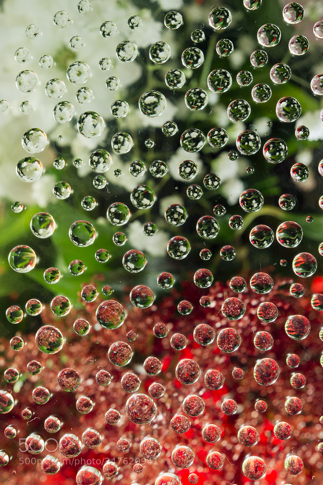 Nikon D610 sample photo. Untitled photography