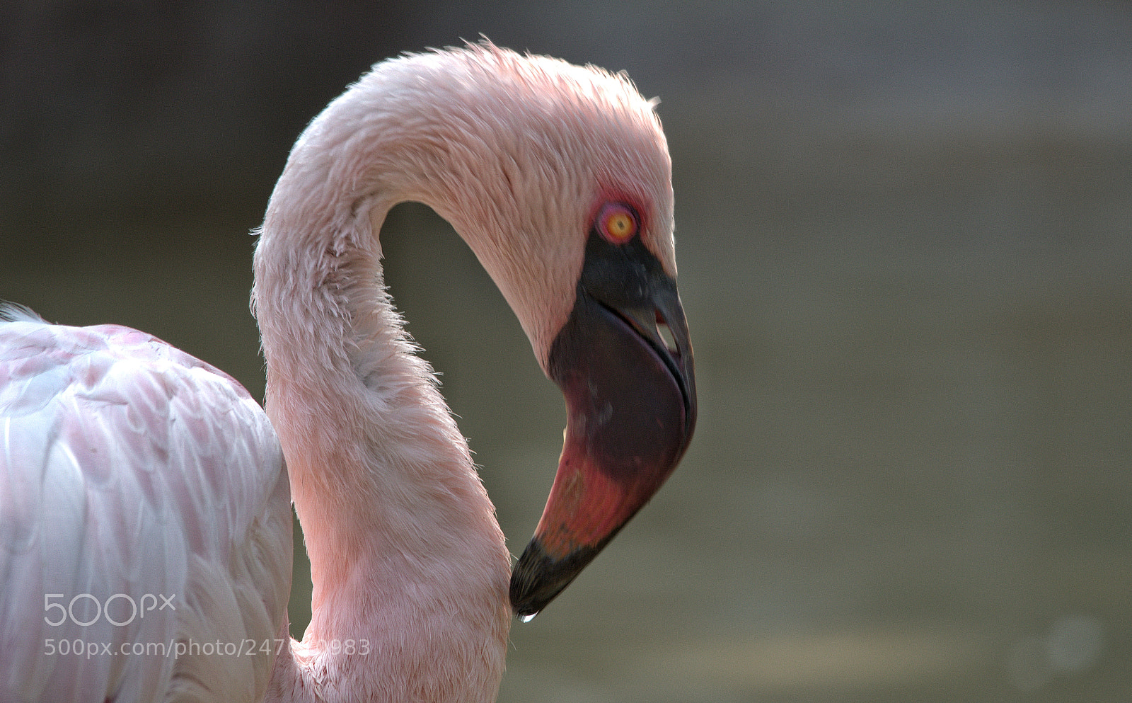 Pentax K-3 sample photo. )s... photography