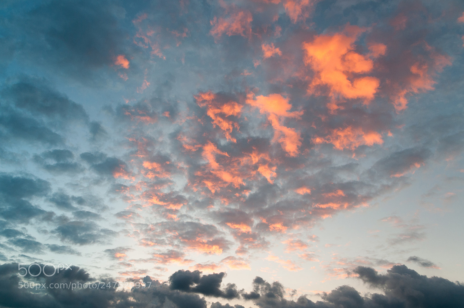 Nikon D300S sample photo. Alicante photography