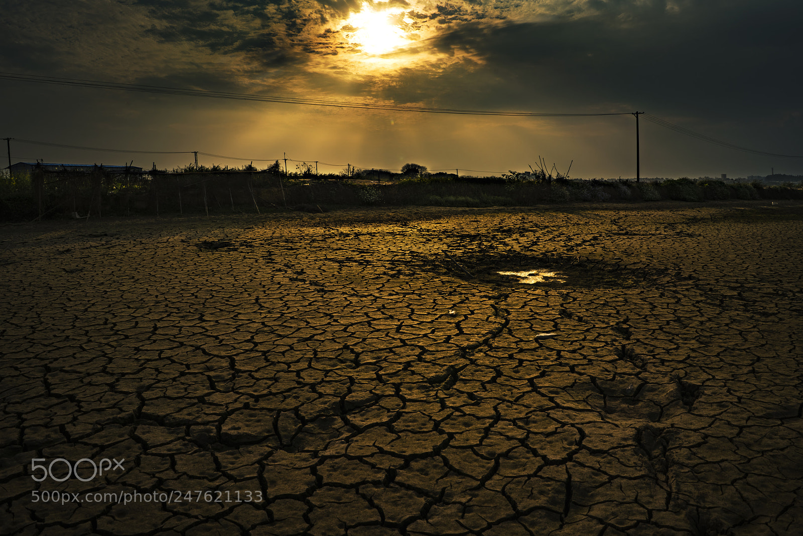 Sony a7R II sample photo. Ancient golden photography
