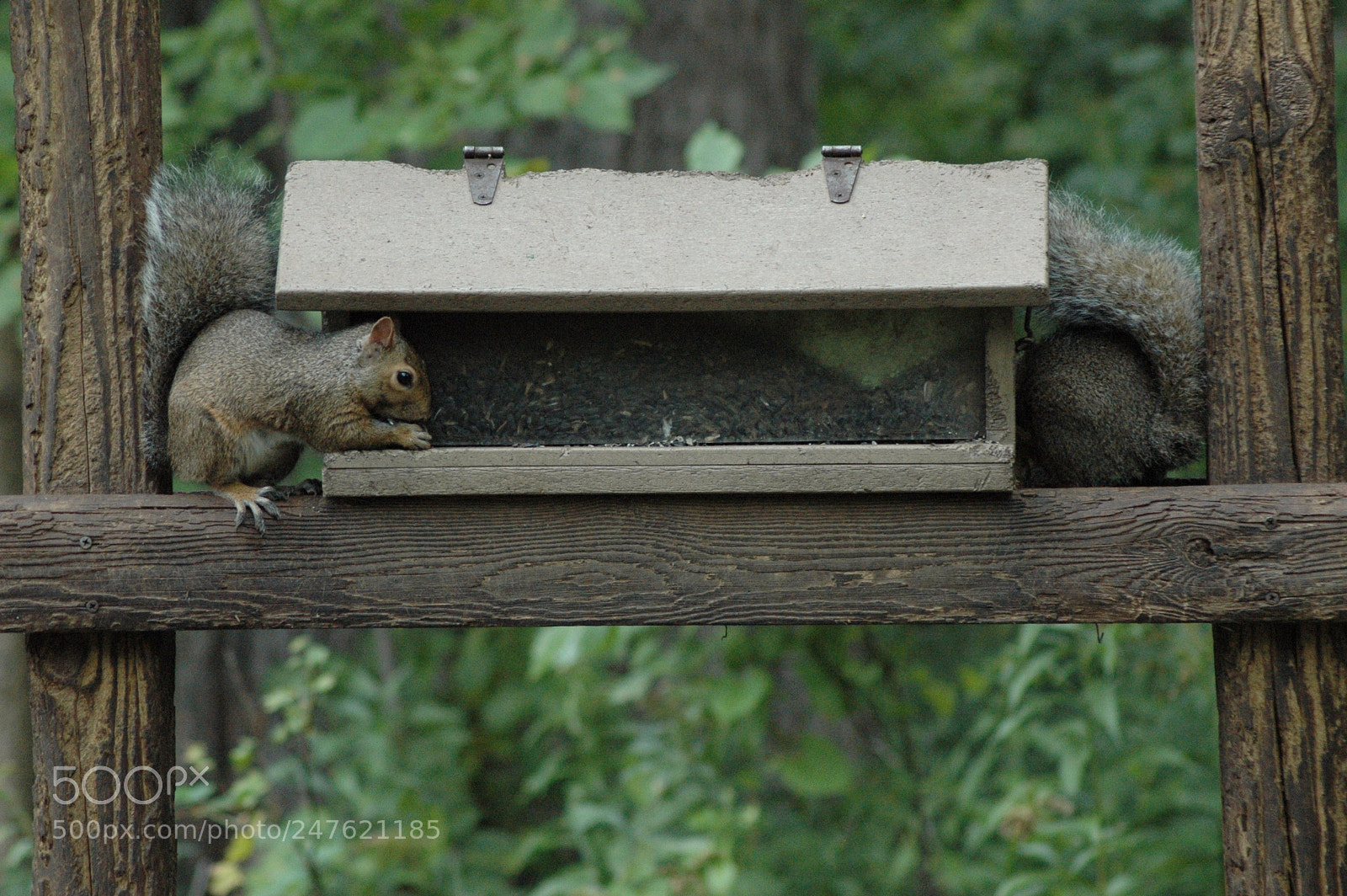 Nikon D70 sample photo. 30001382646.jpg photography