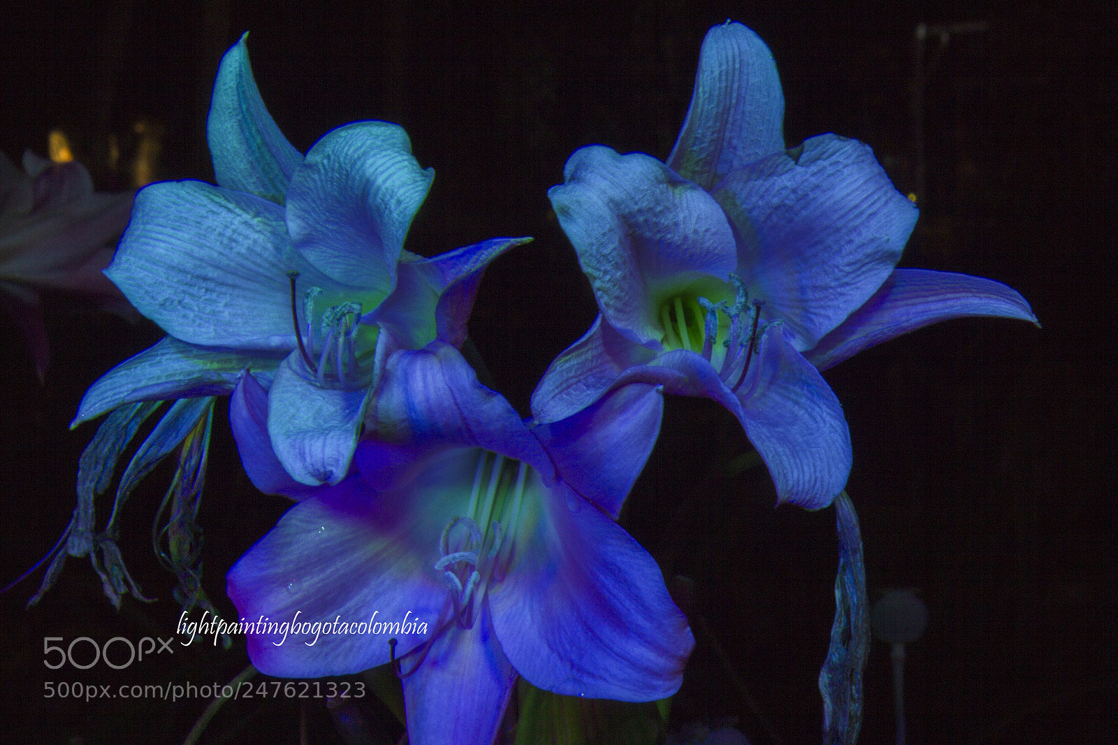 Canon EOS 60D sample photo. Light painting photography