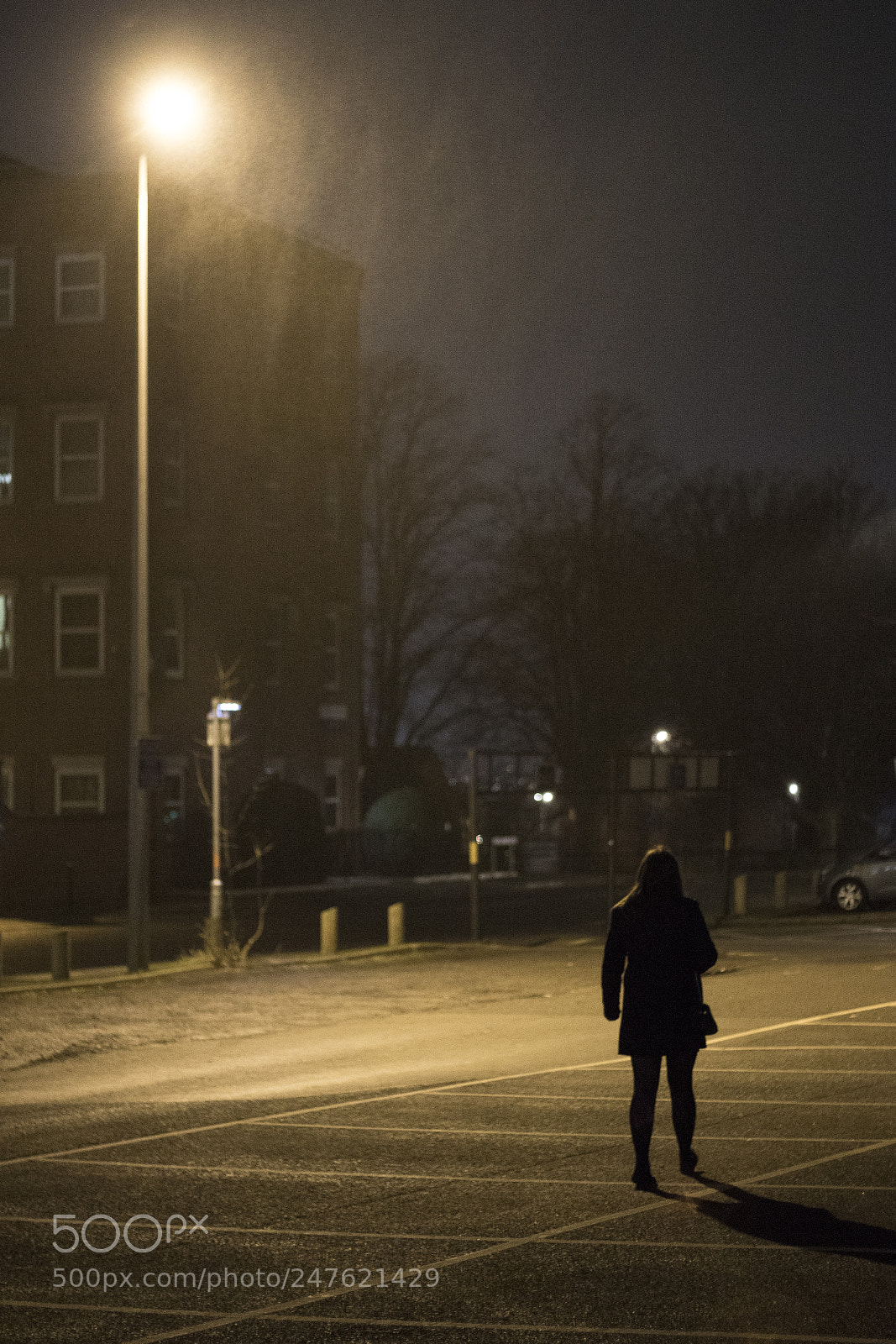 Canon EOS 7D Mark II sample photo. Lonely in the rain photography